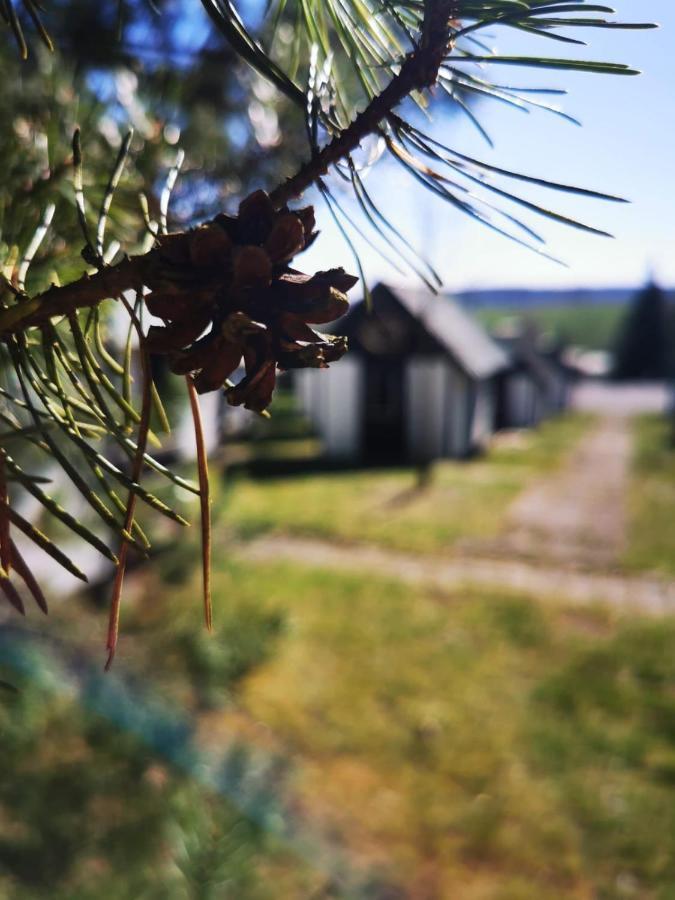 Cyklocamp Pod Landstejnem Hotel Stare Mesto  Exterior foto
